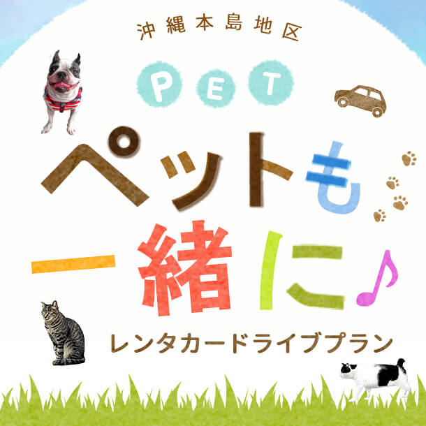 家族みんなで沖縄を楽しむ♪ペットも一緒にレンタカードライブプラン