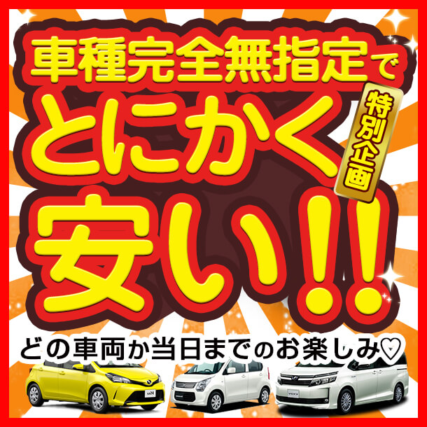 車種無指定（最大定員４名）軽自動車からワゴン車まで当日何が出てくるかお楽しみ