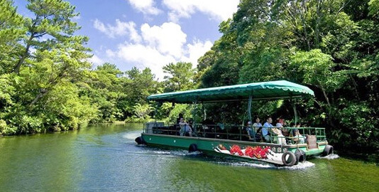 美らヤシパークオキナワ・東南植物楽園