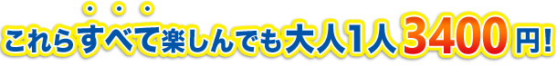 これらすべて楽しんでも大人１人3200円！