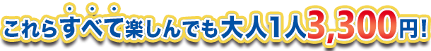 これらすべて楽しんでも大人１人4,400円！