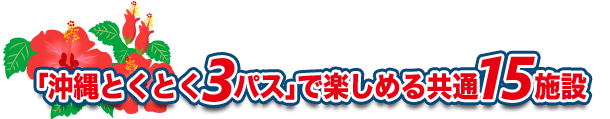 美ら海とくとく5パス」で楽しめる共通15施設